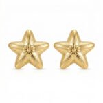 PYARI 18K Gold Plated Star Studs Anti Tarnish Earring